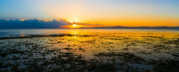 Scientists have found signs of an ancient hidden sea off the Philippine coast
