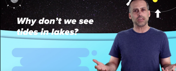 Watch: Here's what everyone gets wrong about the physics of tides