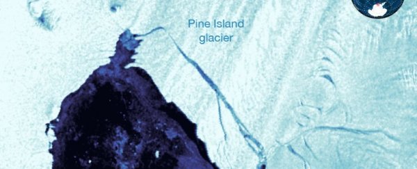 A major Antarctic glacier just lost a massive chunk of ice 4x the size of Manhattan