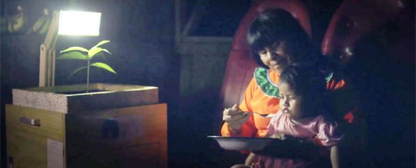 Plant lamps powered by soil nutrients bring electricity to remote areas of Peru