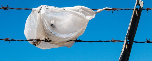In Kenya, using plastic bags can now send you to jail or cost a $40,000 fine