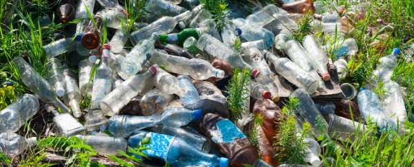 Scientists have produced the world's first 100% recyclable biopolymer