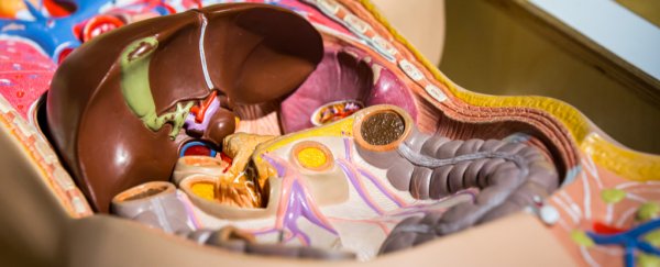 7 surprising organs you can totally live without