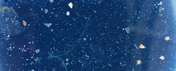 There's another huge plastic garbage patch in the Pacific Ocean