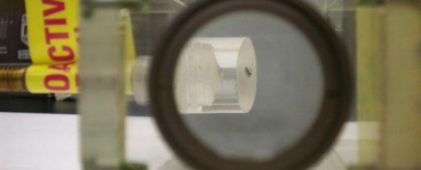 World's first visible lump of plutonium rediscovered in waste storage