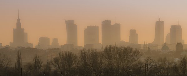 Humanity's fertility decline could be driven by poor air quality