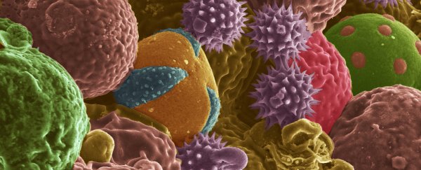 Scientists are making better batteries derived from bee pollen