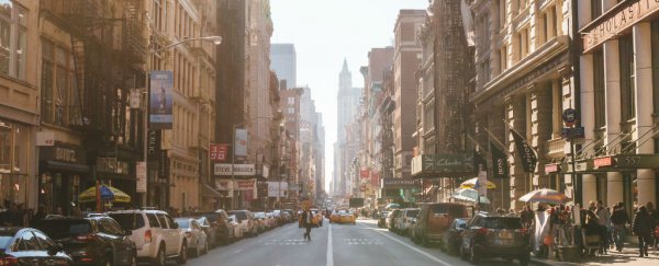 Magnetic particles from pollution have been found in human brains