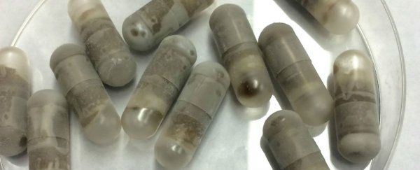 Human trials will test freeze-dried poop pills as a weight-loss treatment