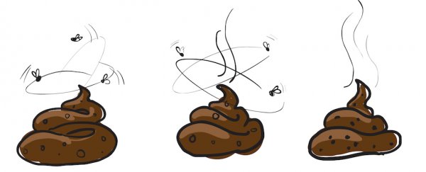 Your poop could earn you $13k