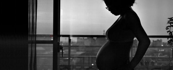 Ovarian tissue transplants have given cancer survivors successful pregnancies