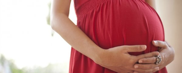 Autism risk lowered by taking carnitine when pregnant, say scientists
