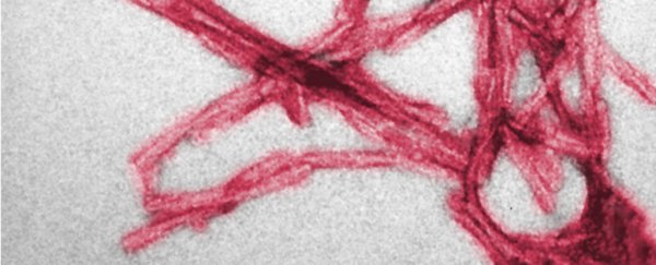 Scientists might finally understand how prions spread infectious brain disease