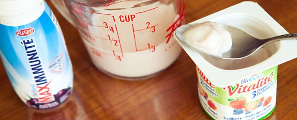 Probiotics have no real effect on healthy adults, study finds