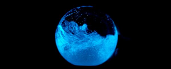 ScienceAlert offer: Find out why everyone's so excited about Dino Spheres
