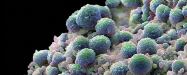 Scientists have developed a new technique that maps disease at the molecular level