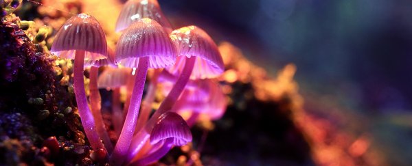 Research shows magic mushrooms can offer real benefits in depression therapy