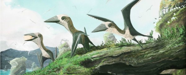 New fossil shows birds and pterosaurs flew side-by-side