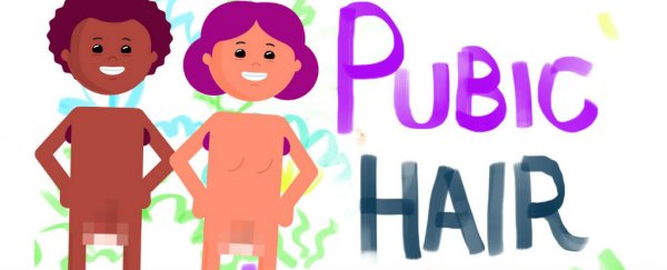 Who shaves pubic hair