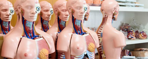 Our knowledge of our own anatomy is really bad – here's why it matters