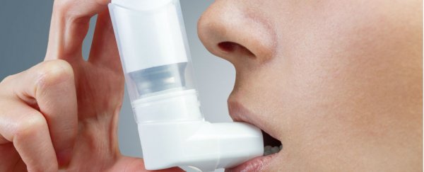 Exposure to psychedelic drugs prevents asthma in mice