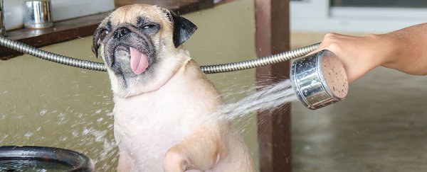 You're probably showering way too often for your microbiome