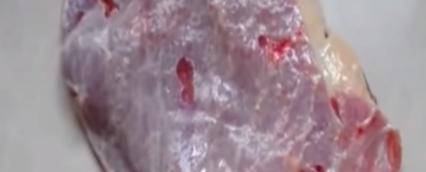 Watch: Slab of raw beef appears to pulse after being brought home from butcher