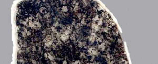 This bacteria hasn’t evolved in more than two billion years