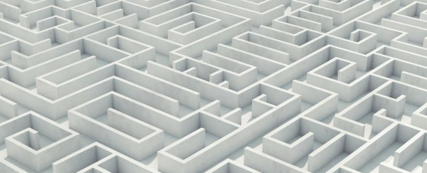 Quantum light beams solve biological mazes