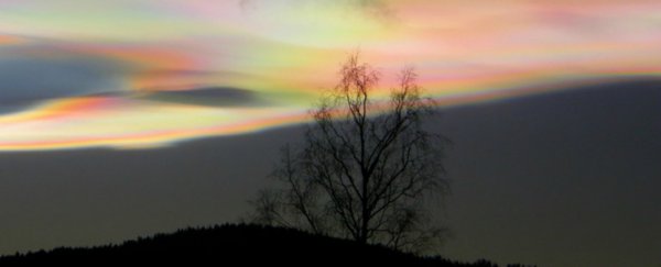 Strange clouds have suddenly lit up the winter sky - and here's why