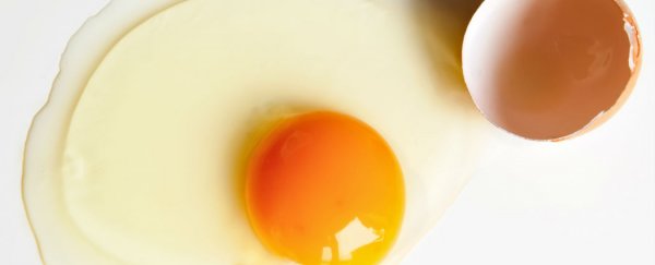 Chemists have figured out how to ‘unboil’ an egg
