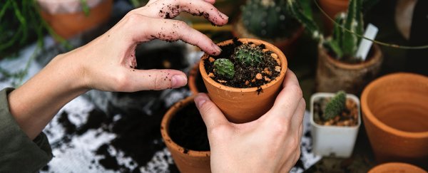 5 reasons why you really should wear gardening gloves