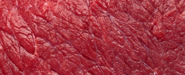 Red meat sugar molecule increases cancer risk in mice