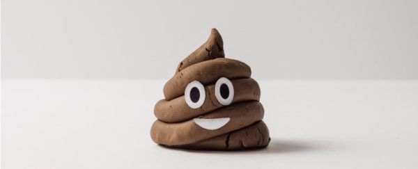 Poo pills really are becoming our answer to dangerous superbug infections