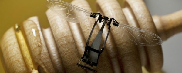Scientists have invented a tiny flying robot that can perch to save energy