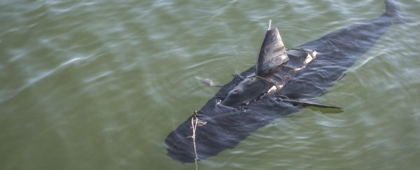 WATCH: Robot Jaws coming to a beach near you