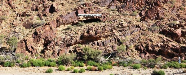 Oldest known evidence of human settlement in Australia's outback has been found, say scientists