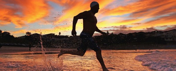 The reason you get a 'runner's high' is not what you think