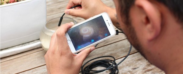ScienceAlert Deals: These were our top 10 tech deals of 2017