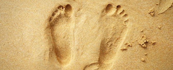 Here's everything science knows so far about the origins of humans