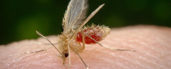 A potential vaccine is in the works for this horrifying flesh-eating parasite