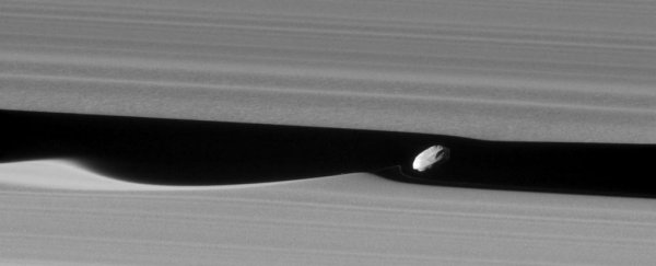 This is the closest-ever photo of a moonlet hiding in Saturn's rings