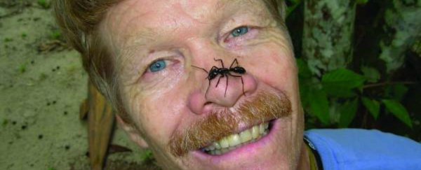 The worst stings in the world, rated by the scientist who's experienced them all