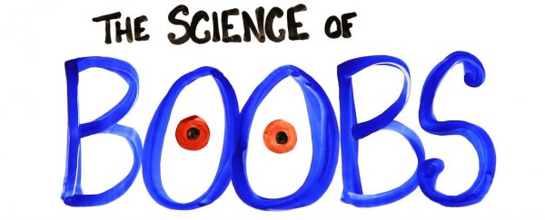 Watch: The science of boobs