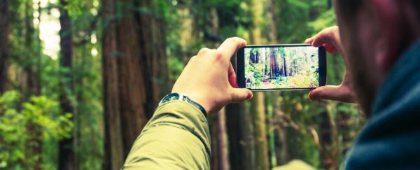A new transparent metal has been developed for smartphone and TV displays