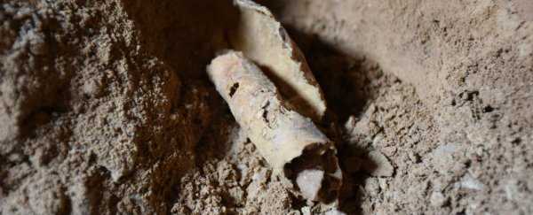 Archaeologists might have just found another Dead Sea Scroll cave