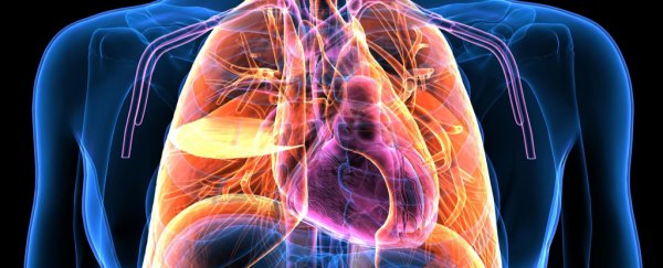 A completely new type of camera can actually see through the human body