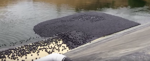 LA is dumping millions of small plastic balls into its reservoir to tackle the drought