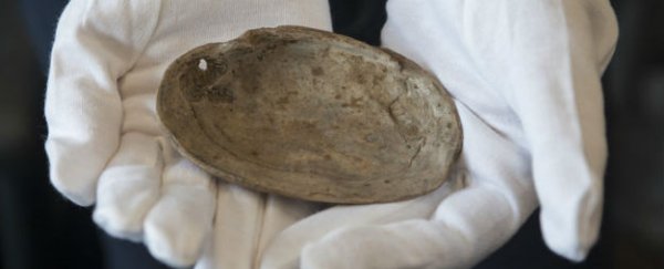 Discovery of oldest engravings “rewrites human history"