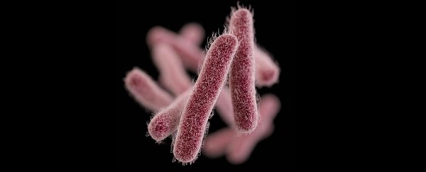Scientists have used bacteria to kill antibiotic-resistant superbugs